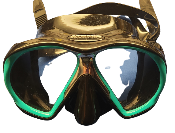 Atomic Aquatics Teal Split Frame Mask
